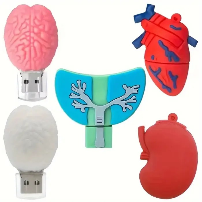 Memoria USB con diseño de órganos humanos