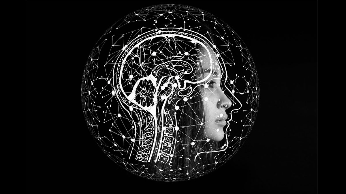 10 Curiosidades sobre la Mente y el Cerebro